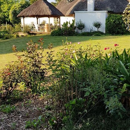 Piccadilly Farm Cottages Lions River Eksteriør billede
