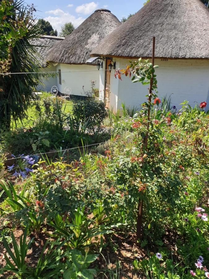 Piccadilly Farm Cottages Lions River Eksteriør billede