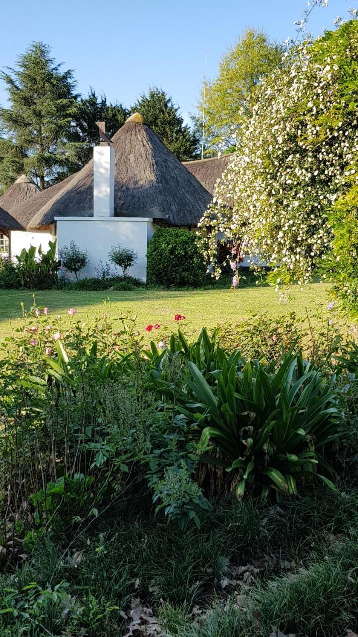 Piccadilly Farm Cottages Lions River Eksteriør billede